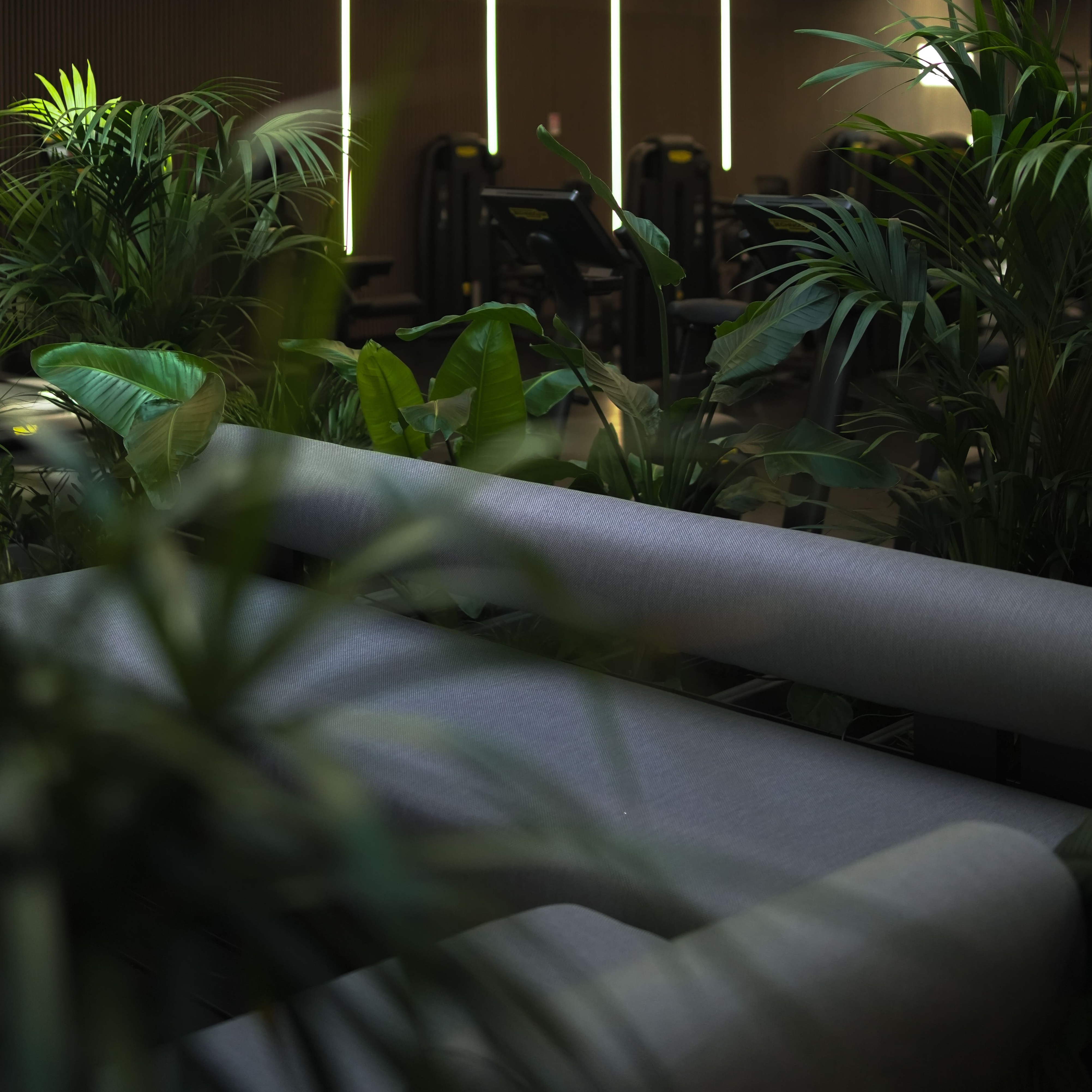 Mehr als nur Training